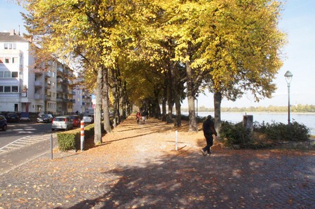 bonn