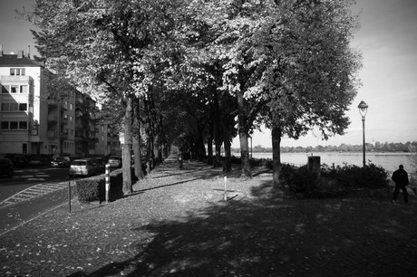 bonn