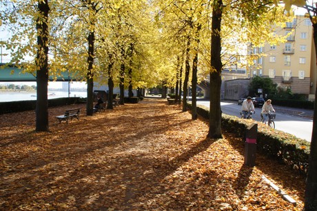 bonn