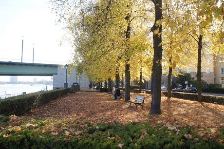 bonn