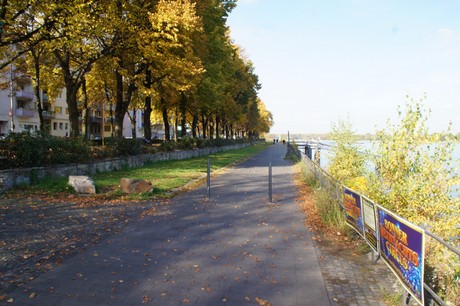 bonn