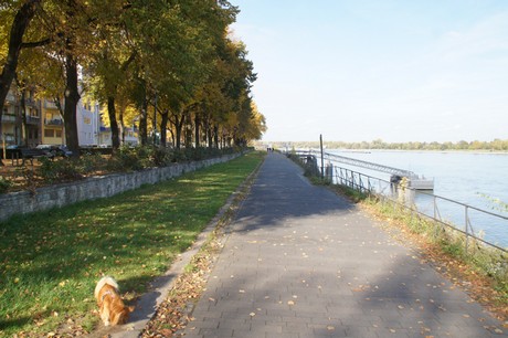 bonn
