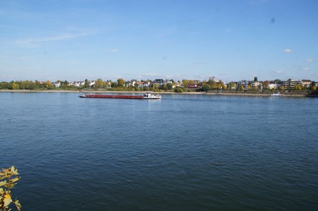 bonn