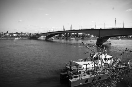 bonn
