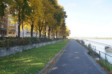 bonn