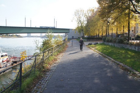 bonn