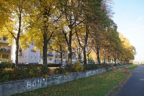 bonn