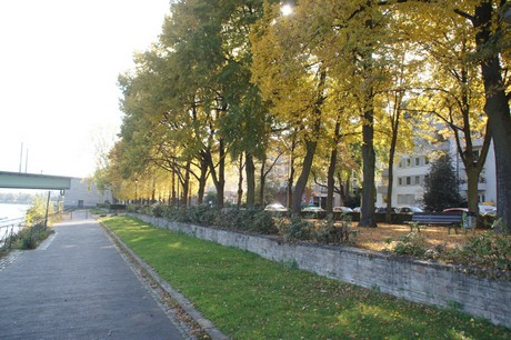 bonn