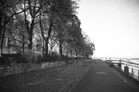 bonn