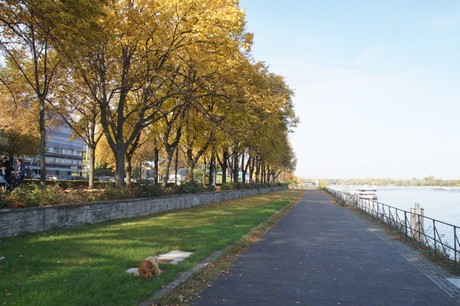 bonn