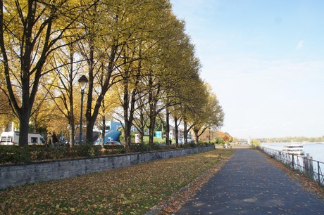 bonn