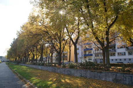 bonn