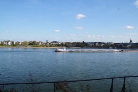 bonn