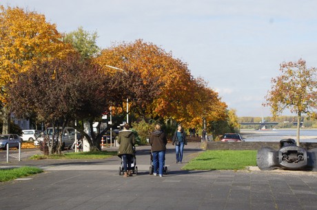 bonn