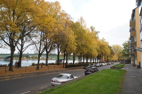 bonn