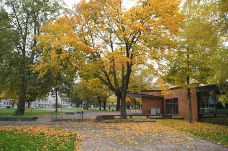 bonn
