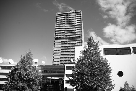 bonn