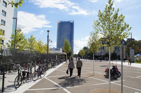 bonn