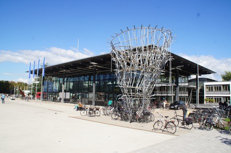 bonn