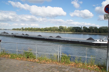 bonn