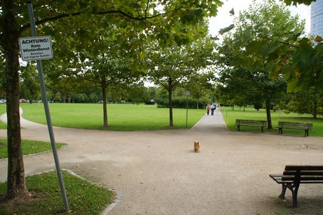 bonn