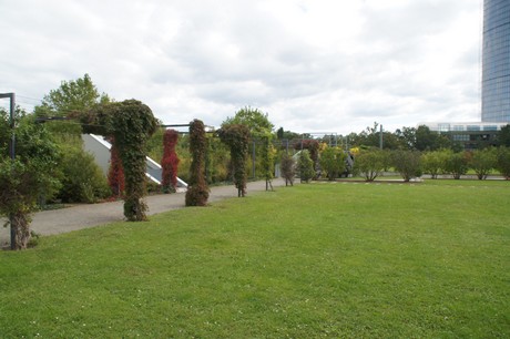 bonn