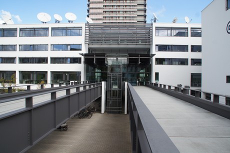 bonn