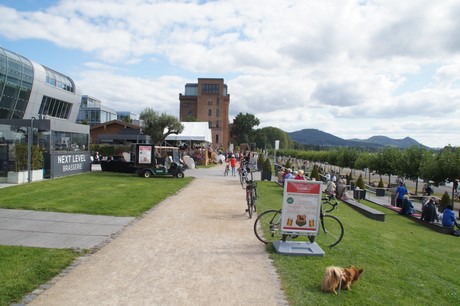 bonn