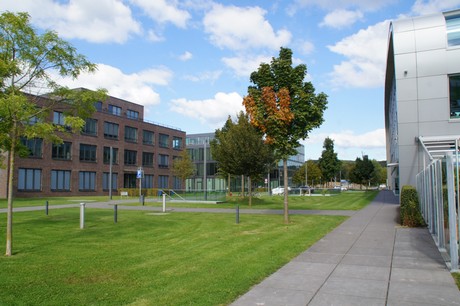 bonn