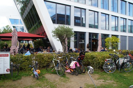 bonn