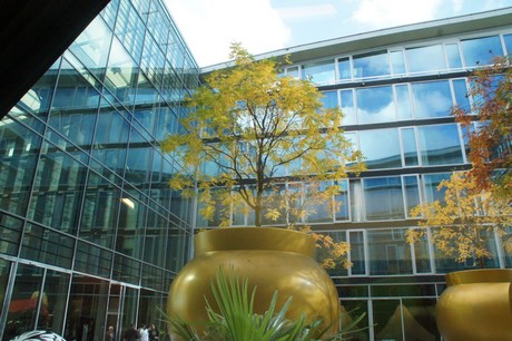 bonn