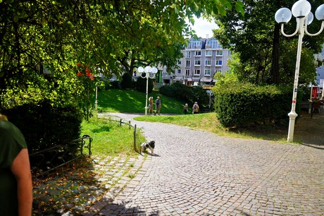 bonn