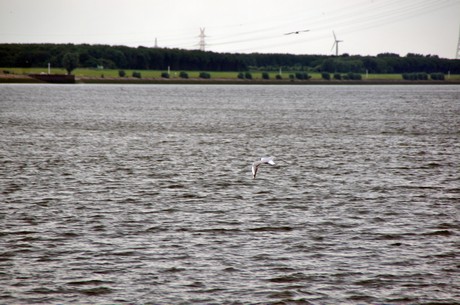 hafenrundfahrt