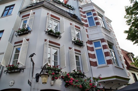 schnoor