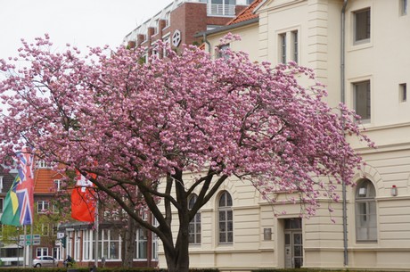bremerhaven