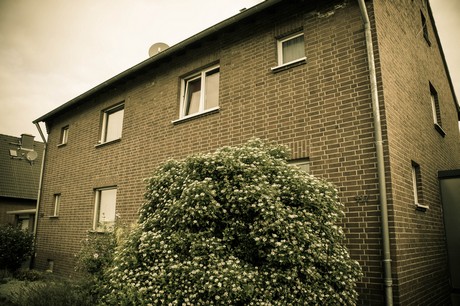 brueggen