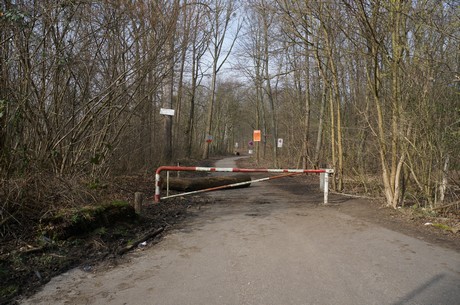 bleibtreusee