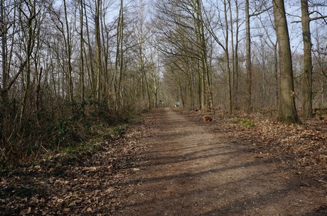 bleibtreusee