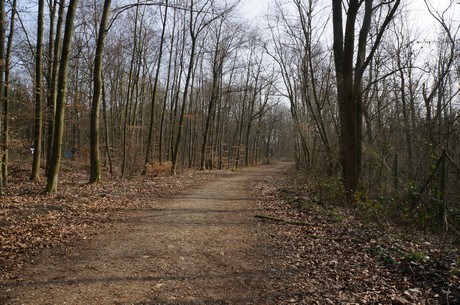 bleibtreusee
