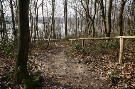 bleibtreusee