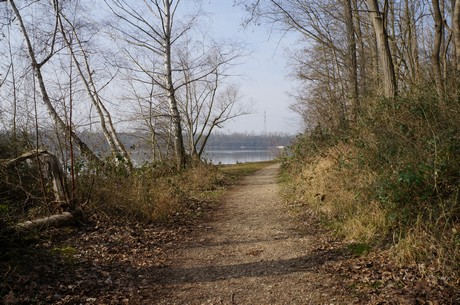 bleibtreusee