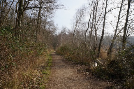 bleibtreusee