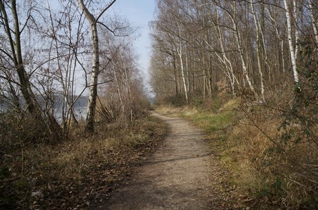 bleibtreusee