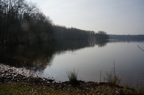 bleibtreusee