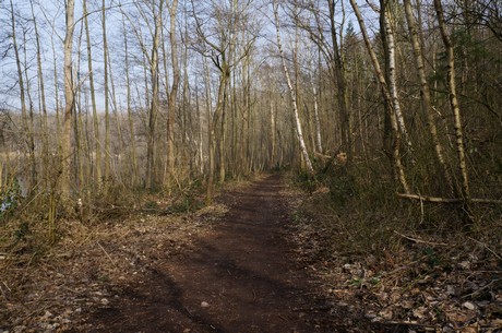 bleibtreusee