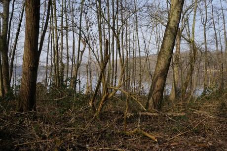 bleibtreusee