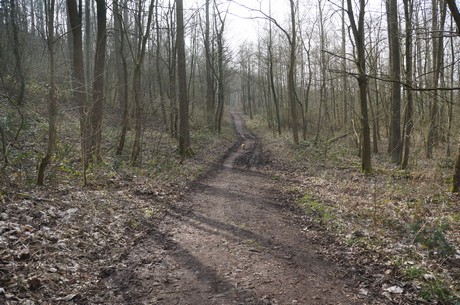 bleibtreusee