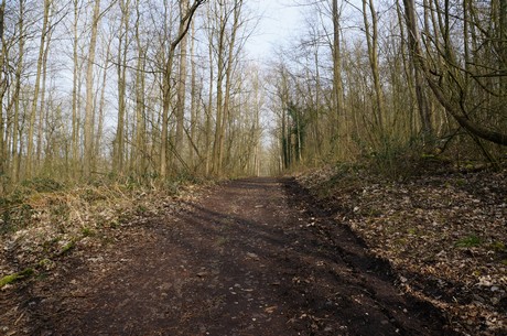bleibtreusee