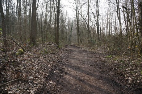 bleibtreusee