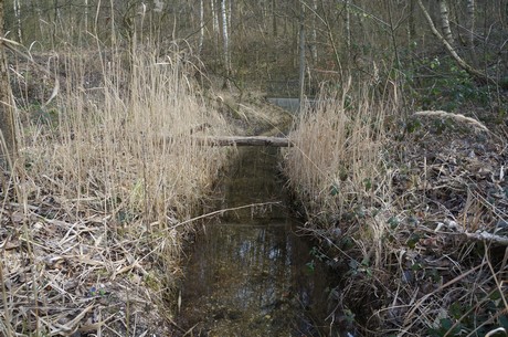 bleibtreusee